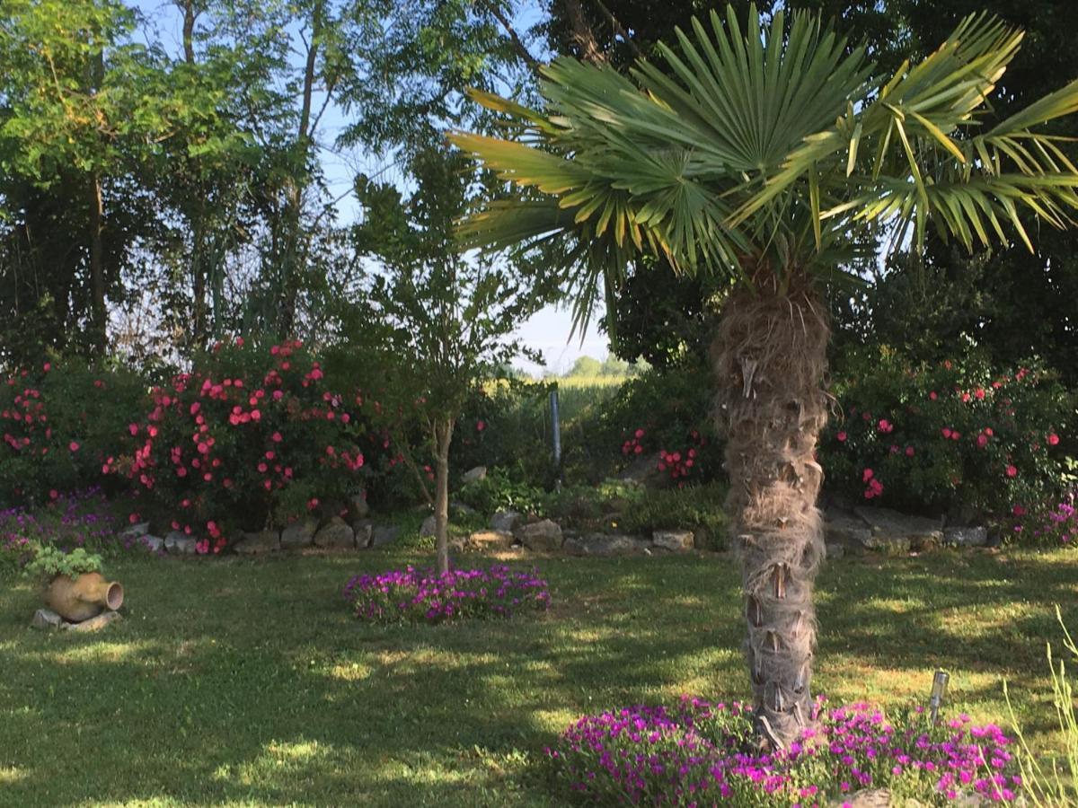 Appartement Mansarde Et Climatise 50 M2 Pompignan  Dış mekan fotoğraf